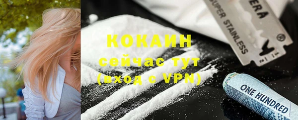 эйфоретик Аркадак