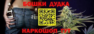 крисы Балахна