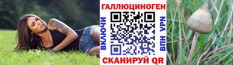 Псилоцибиновые грибы мицелий Воскресенск