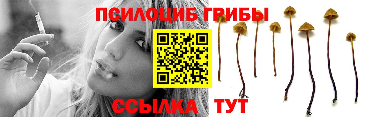 Галлюциногенные грибы MAGIC MUSHROOMS Воскресенск